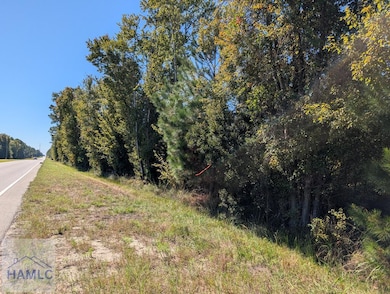 00 U S 301, Jesup, GA 31546 - photo 2
