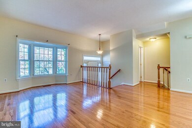 8111 Squirrel Run Rd, Springfield, VA 22152 - photo 4