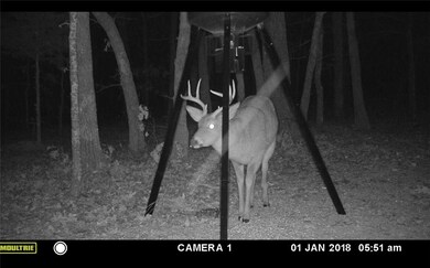 14189 Sugar Mountain Rd, West Fork, AR 72774 - photo 2