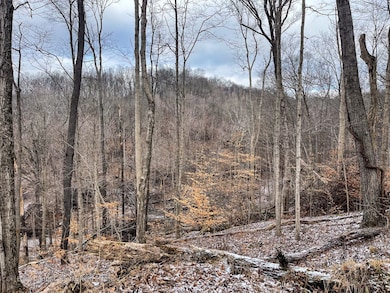 TBD Starr Rd, Jefferson Township, IN 47108 - photo 2