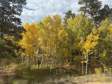 300 Badger Rd, Black Hawk, CO 80422 - photo 3