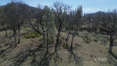 305 Pine Ave, Hayfork, CA 96041 - photo 4