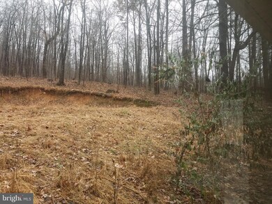 295 Cold Run Valley Rd, Berkeley Springs, WV 25411 - photo 6