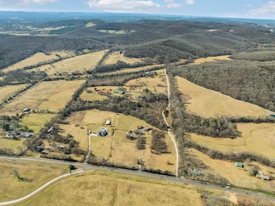 8009 Palmore Hollow Pvt Ln, Nolensville, TN 37135 - photo 5