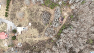 00 Kent St, Phil Campbell, AL 35581 - photo 4