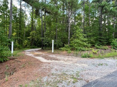 Entrance to driveway