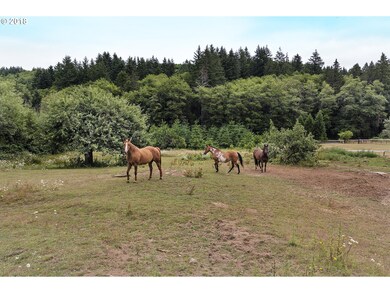 Pasture