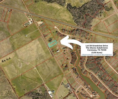 Lot 59 Grandview Dr, Corsicana, TX 75109 - photo 2