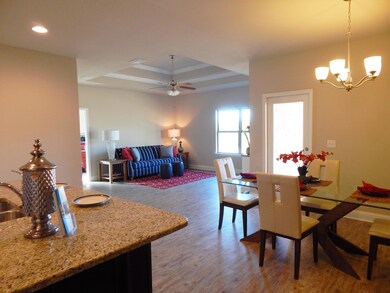 Dining - Living area