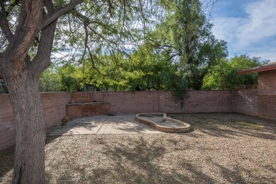 backyard-3
