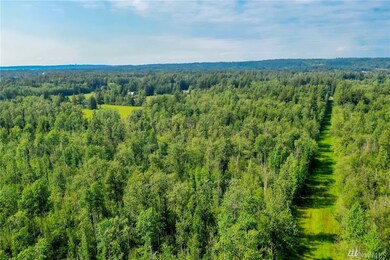 0 Loomis Trail Rd unit 1466583, Blaine, WA 98230 - photo 5