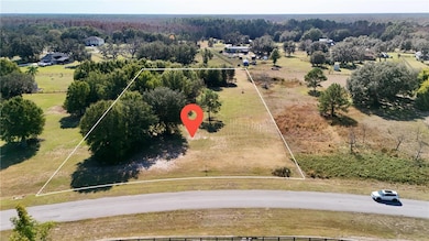 0 Greengrove Blvd unit MFRO6361241, Clermont, FL 34711 - photo 5