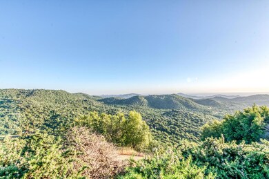 View from the back patio.