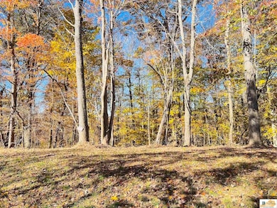 740 Jay Wheeler Rd, Columbia, KY 42728 - photo 7