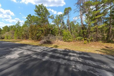 0 SW 177th St unit MFROM714928, Ocala, FL 34473 - photo 4