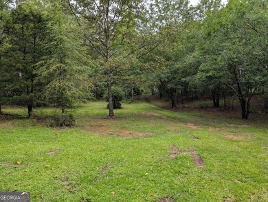 894 High Falls Rd, Jackson, GA 30233 - photo 7