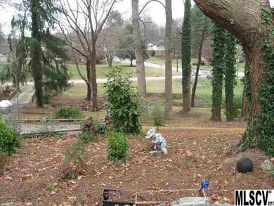 703 Springdale Rd, Statesville, NC 28677 - photo 4