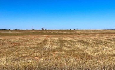 unlisted-address, Shallowater, TX 79363 - photo 3