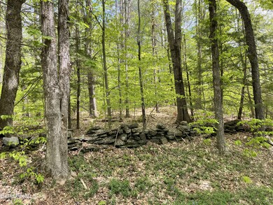 unlisted-address, Cummington, MA 01026 - photo 2
