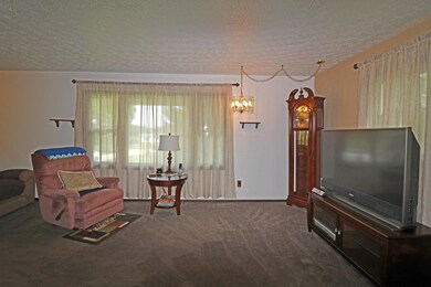 IMG_1549_edited-1