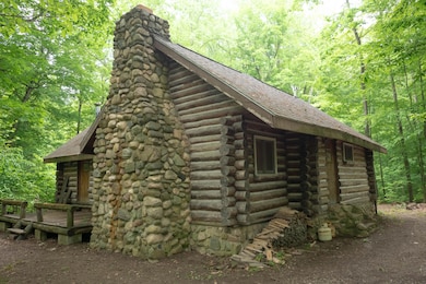 Cabin-3