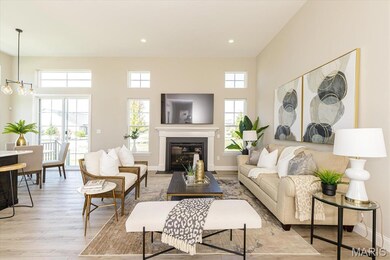 0 Unknown unit MIS25067012, O'Fallon, MO 63385 - photo 6