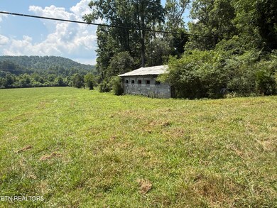 IMG_0061
