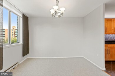 Barcroft Hills Condominium unit 305, Baileys Crossroads, VA 22041 - photo 7