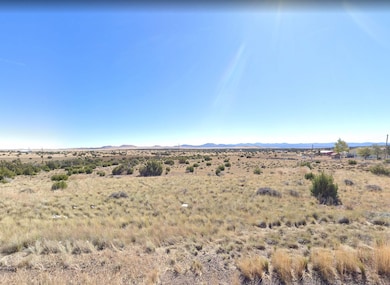 County Road 3538 unit Concho AZ 85924, Concho, AZ 85924 - photo 6