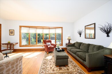 448 N Larch Ave, Elmhurst, IL 60126 - photo 5