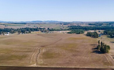 13111 E Gibbs Rd, Valleyford, WA 99023 - photo 7