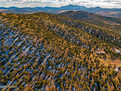 Aerial Lot View