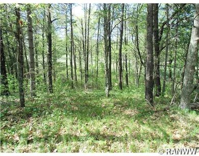 0 Hwy 77 unit 865639, Swiss Township, WI 54830 - photo 5