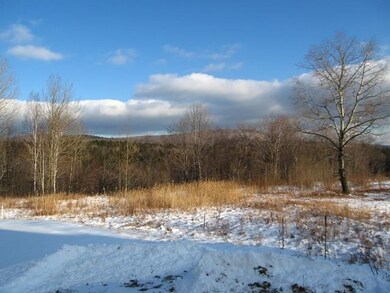 Lot 4 Encore Place unit 4, Dover, VT 05356 - photo 4
