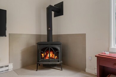 Propane Fireplace