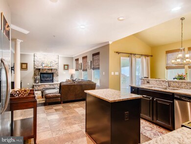 5037 Summer Solstice Place, Ellicott City, MD 21043 - photo 7