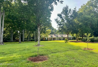 305 Creek Bend Rd, Natchez, MS 39120 - photo 5