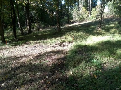 5795 Blue Church Rd, Coopersburg, PA 18036 - photo 3