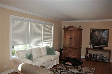 421 W Gartner Rd, Naperville, IL 60540 - photo 3