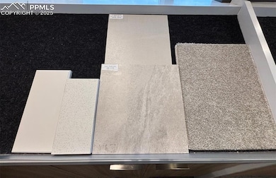Primary Bathroom selections and carpet selection
