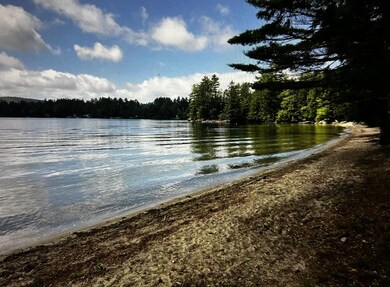 Shared Beach
