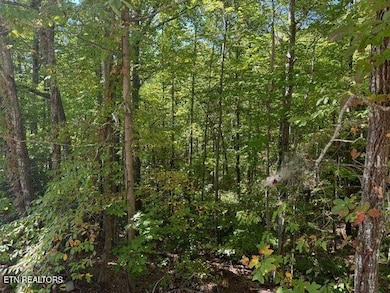 Lot 17 Deer Path Ln, Gatlinburg, TN 37738 - photo 2