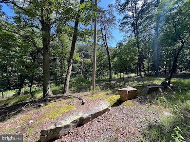 634 Island Ridge Rd, Romney, WV 26757 - photo 3