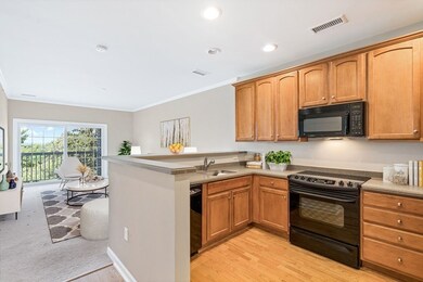 Wellington Crossing unit 407, Waltham, MA 02452 - photo 6