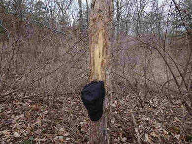 149.44+/- Ac Dutch Hollow Rd, Potosi, WI 53820 - photo 6