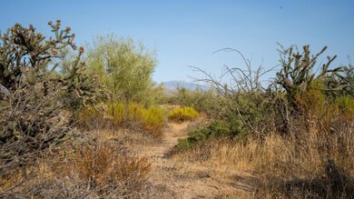 168th Cactus