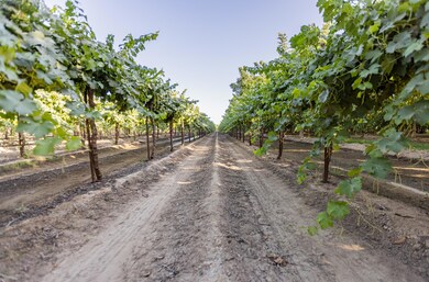 131DEE2E-61BA-4741-BE79-517374442278