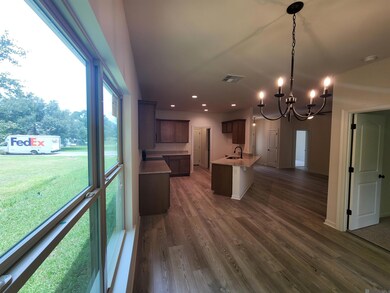 15018 Mill Settlement Trace, Port Vincent, LA 70726 - photo 5