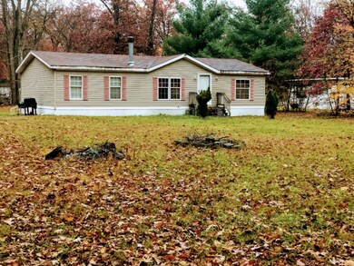 2455 W Pinewood Blvd, Bitely, MI 49309 - photo 2