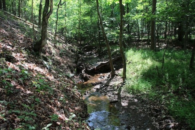 859 Brush Creek Rd, Winchester, VA 22603 - photo 3